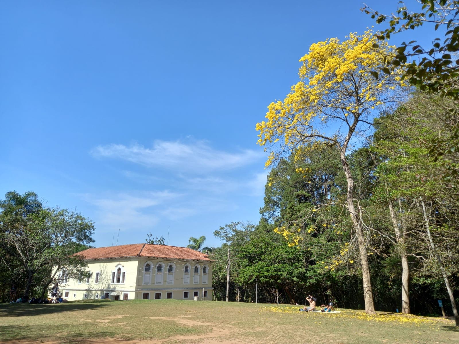 Programação gratuita no Parque Horto Florestal promove bem-estar e apoio emocional no Setembro Amarelo